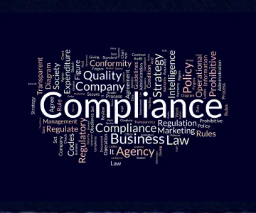  Our Payroll Compliance Services in UAE