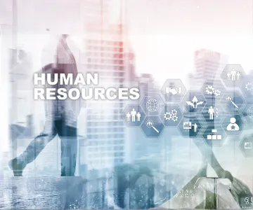 What are HR services in the UAE